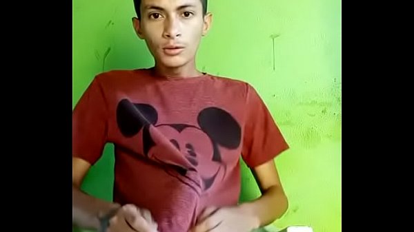 Novinho pauzudo 20 cm