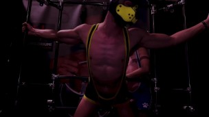 Puppy Darkroom Club Fun