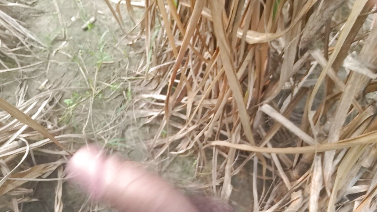 Asian boy gay video outdoor shoot