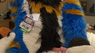 good kitty fucks the cum out of the bad dog then cums hands free