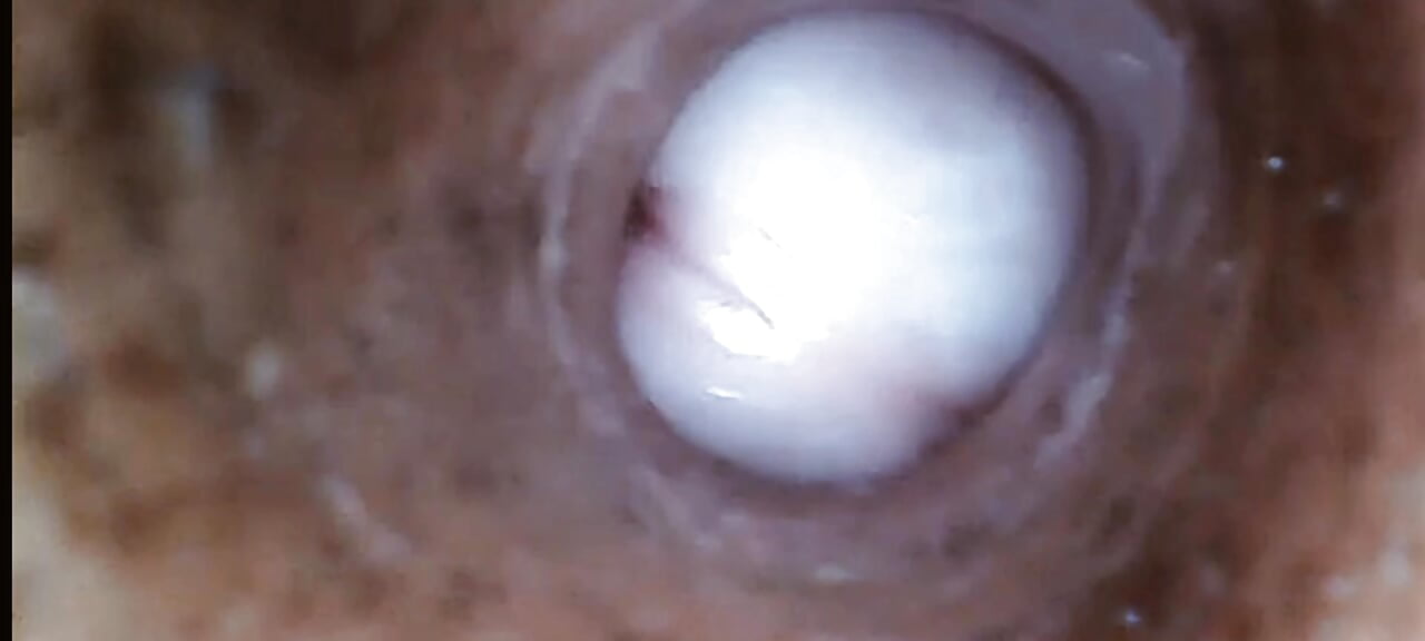 Hot cock flash light inside view.