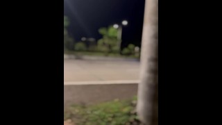 I Got Horny As I Was Walking Home- Jerking Off at the Roadside