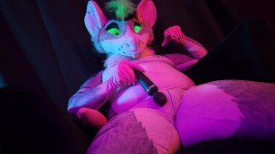 [MURSUIT] Tacos the Rat playing with Magic Wand