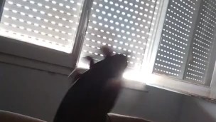 Estoy muy caliente, quiero tu jugosa vagina