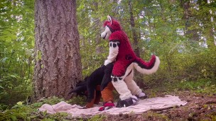 The Dog Days of Summer